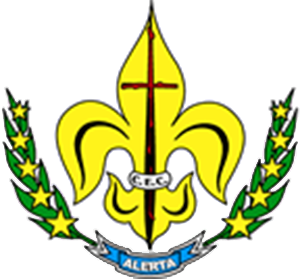 70962482 3006040492804665 2882659221600468992 n